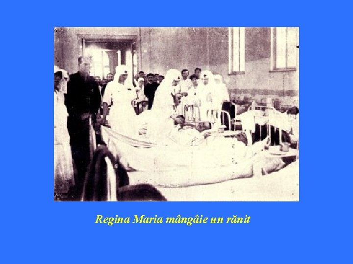 Regina Maria mângâie un rănit 