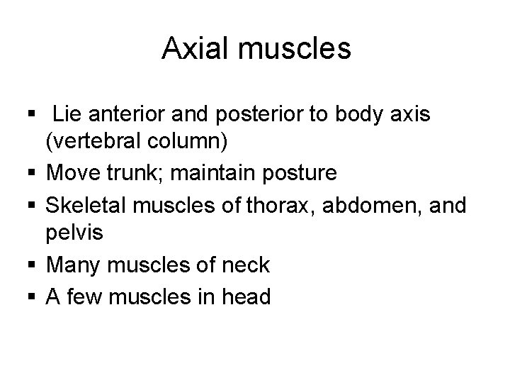 Axial muscles § Lie anterior and posterior to body axis (vertebral column) § Move