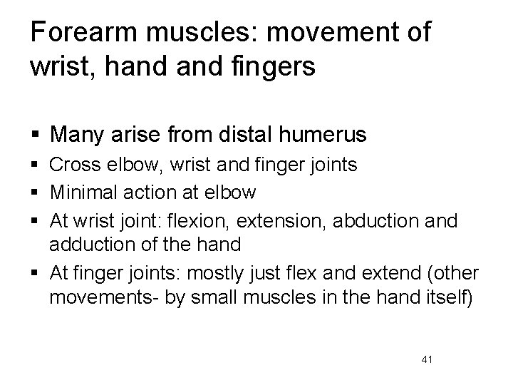 Forearm muscles: movement of wrist, hand fingers § Many arise from distal humerus §