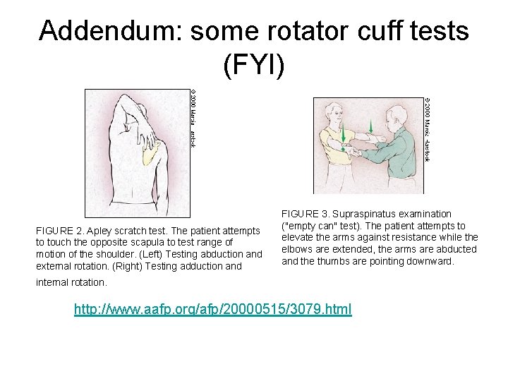 Addendum: some rotator cuff tests (FYI) FIGURE 2. Apley scratch test. The patient attempts