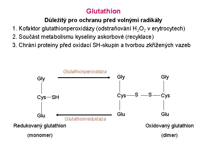 Glutathion Důležitý pro ochranu před volnými radikály 1. Kofaktor glutathionperoxidázy (odstraňování H 2 O