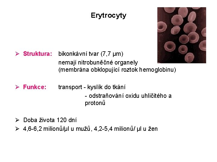 Erytrocyty Ø Struktura: bikonkávní tvar (7, 7 μm) nemají nitrobuněčné organely (membrána obklopující roztok