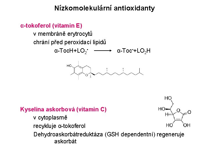 Nízkomolekulární antioxidanty α-tokoferol (vitamin E) v membráně erytrocytů chrání před peroxidací lipidů α-Toc. H+LO