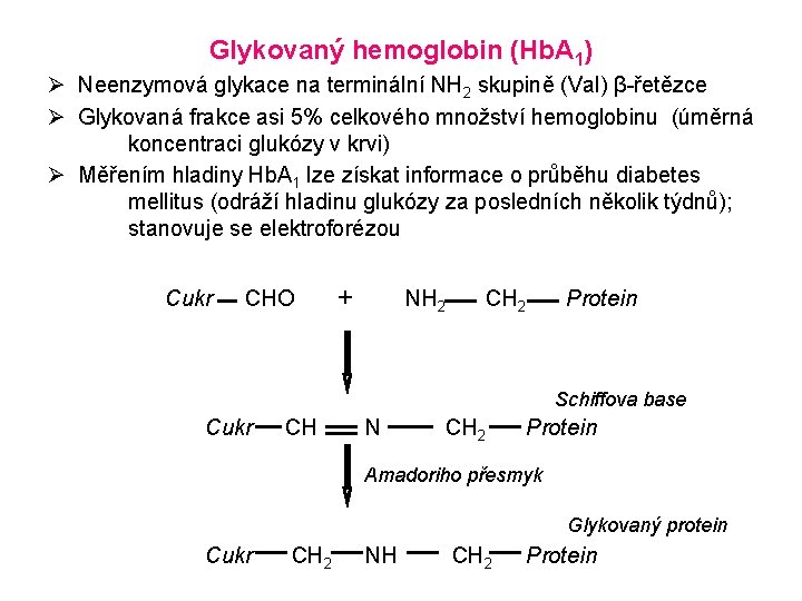 Glykovaný hemoglobin (Hb. A 1) Ø Neenzymová glykace na terminální NH 2 skupině (Val)