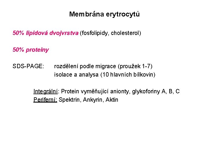 Membrána erytrocytů 50% lipidová dvojvrstva (fosfolipidy, cholesterol) 50% proteiny SDS-PAGE: rozdělení podle migrace (proužek