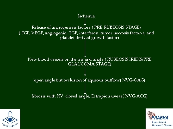 Ischemia Release of angiogenesis factors ( PRE RUBEOSIS STAGE) ( FGF, VEGF, angiogenin, TGF,