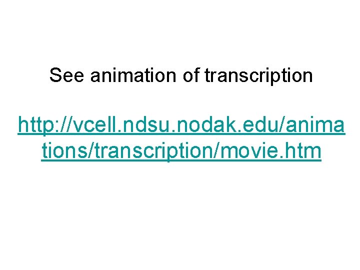 See animation of transcription http: //vcell. ndsu. nodak. edu/anima tions/transcription/movie. htm 