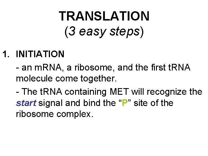 TRANSLATION (3 easy steps) 1. INITIATION - an m. RNA, a ribosome, and the