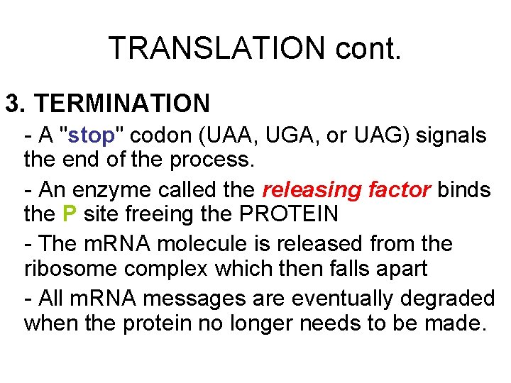 TRANSLATION cont. 3. TERMINATION - A "stop" codon (UAA, UGA, or UAG) signals the