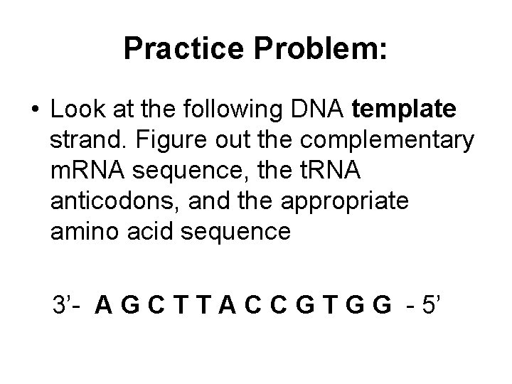 Practice Problem: • Look at the following DNA template strand. Figure out the complementary