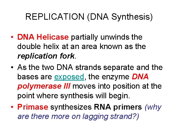 REPLICATION (DNA Synthesis) • DNA Helicase partially unwinds the double helix at an area