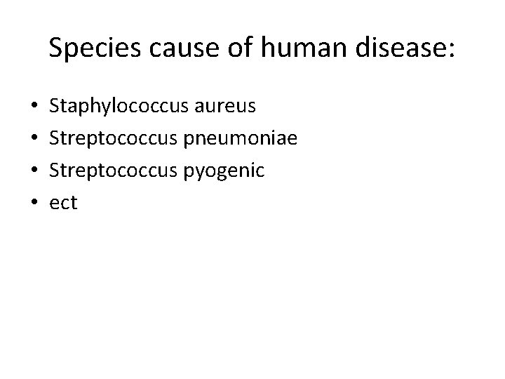 Species cause of human disease: • • Staphylococcus aureus Streptococcus pneumoniae Streptococcus pyogenic ect