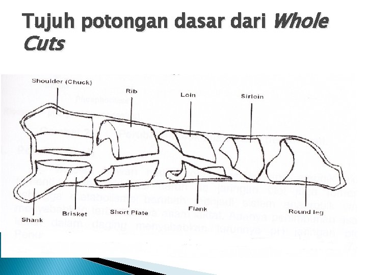 Tujuh potongan dasar dari Whole Cuts 