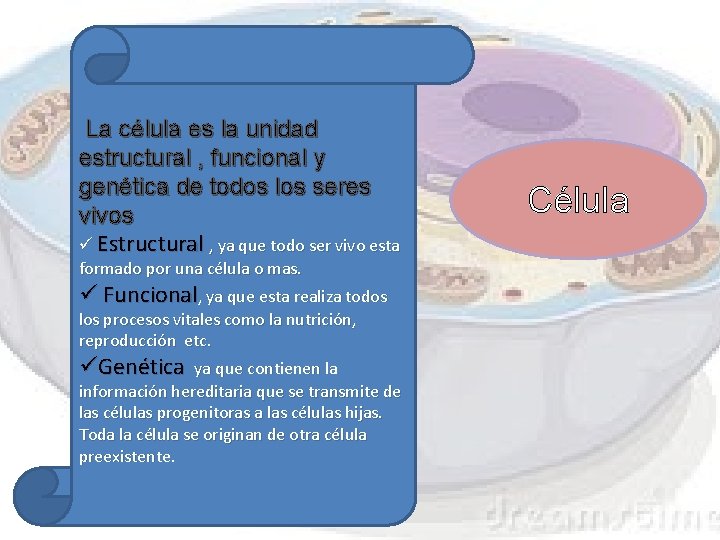 La célula es la unidad estructural , funcional y genética de todos los seres