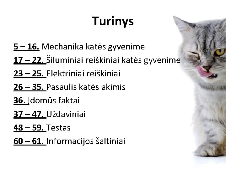 Turinys 5 – 16. Mechanika katės gyvenime 17 – 22. Šiluminiai reiškiniai katės gyvenime