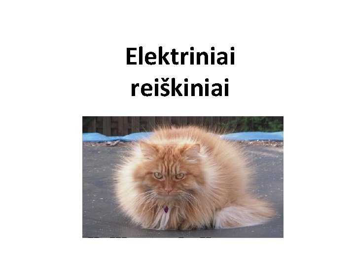 Elektriniai reiškiniai 