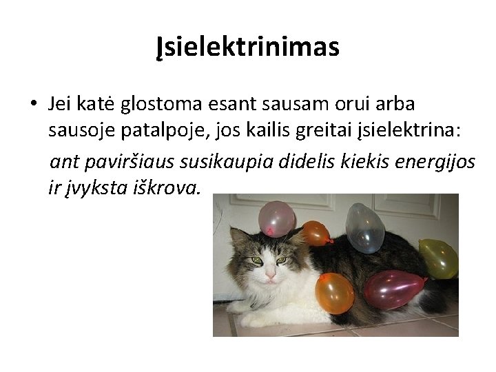 Įsielektrinimas • Jei katė glostoma esant sausam orui arba sausoje patalpoje, jos kailis greitai