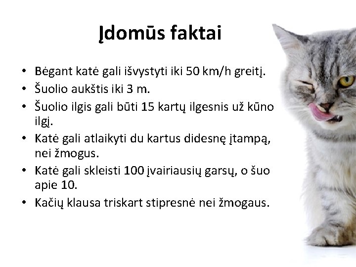Įdomūs faktai • Bėgant katė gali išvystyti iki 50 km/h greitį. • Šuolio aukštis