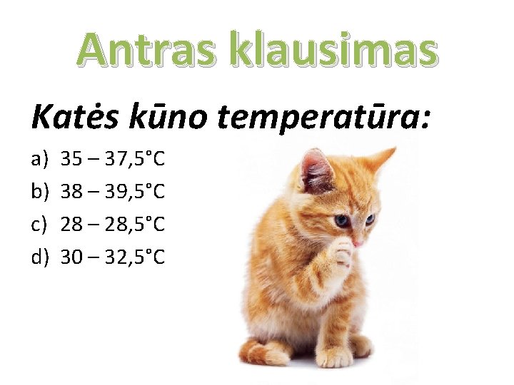 Antras klausimas Katės kūno temperatūra: a) b) c) d) 35 – 37, 5°C 38