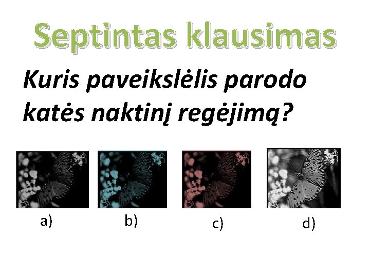 Septintas klausimas Kuris paveikslėlis parodo katės naktinį regėjimą? a) b) c) d) 