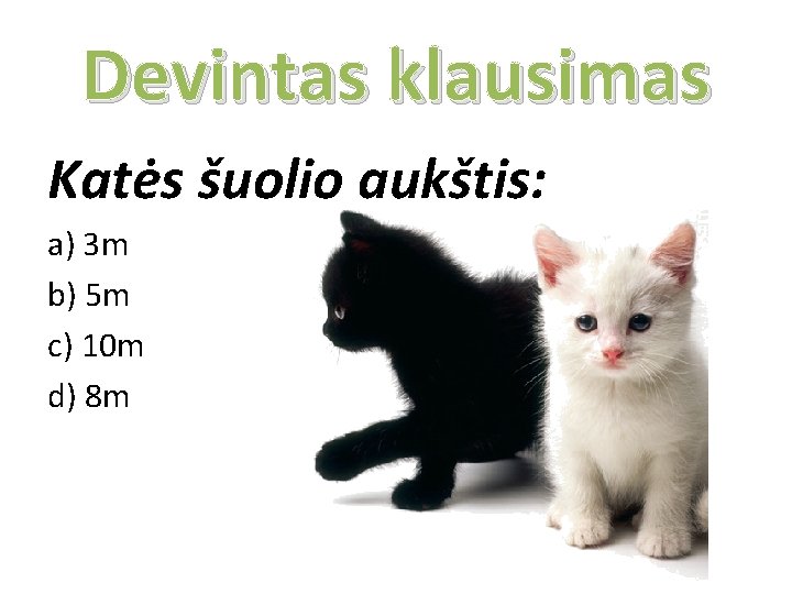 Devintas klausimas Katės šuolio aukštis: a) 3 m b) 5 m c) 10 m