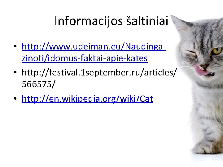 Informacijos šaltiniai • http: //www. udeiman. eu/Naudingazinoti/idomus-faktai-apie-kates • http: //festival. 1 september. ru/articles/ 566575/