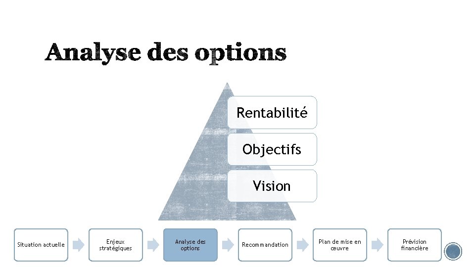 Rentabilité Objectifs Vision Situation actuelle Enjeux stratégiques Analyse des options Recommandation Plan de mise