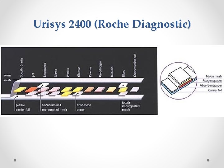Urisys 2400 (Roche Diagnostic) Urisys 2400 (Roche Diagnostic)