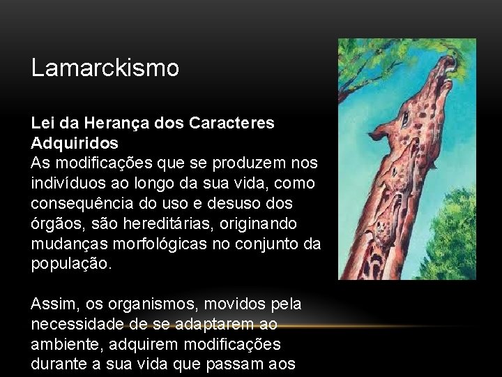 Lamarckismo Lei da Herança dos Caracteres Adquiridos As modificações que se produzem nos indivíduos