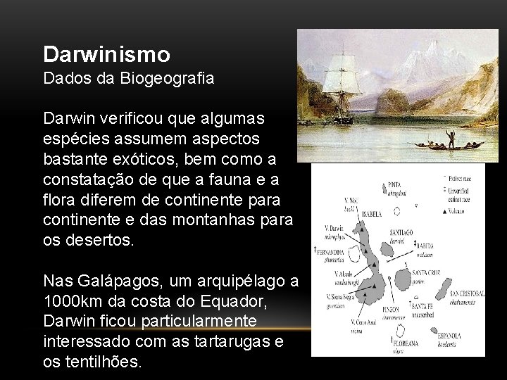 Darwinismo Dados da Biogeografia Darwin verificou que algumas espécies assumem aspectos bastante exóticos, bem