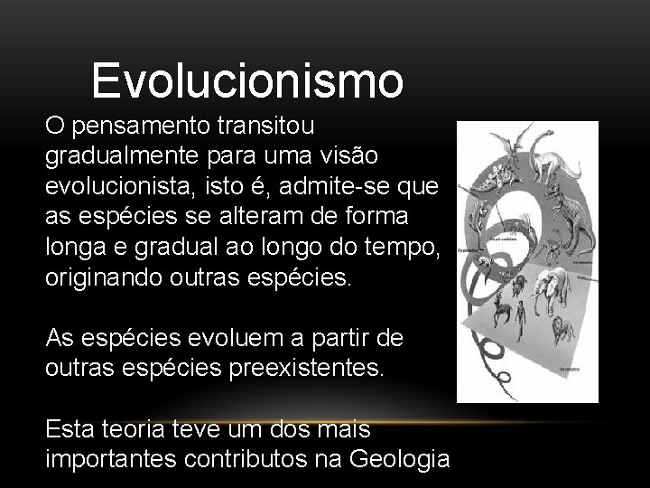 Evolucionismo O pensamento transitou gradualmente para uma visão evolucionista, isto é, admite-se que as