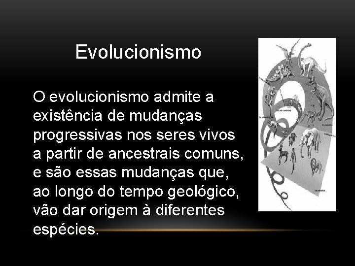 Evolucionismo O evolucionismo admite a existência de mudanças progressivas nos seres vivos a partir