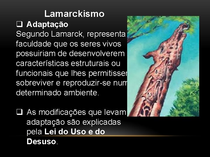 Lamarckismo q Adaptação Segundo Lamarck, representa a faculdade que os seres vivos possuiriam de