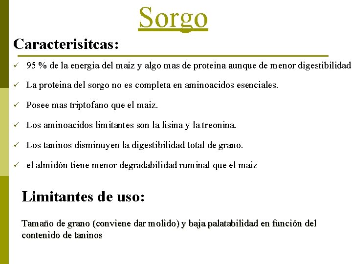 Sorgo Caracterisitcas: ü 95 % de la energia del maiz y algo mas de