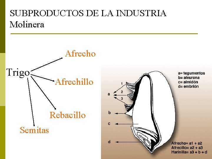 SUBPRODUCTOS DE LA INDUSTRIA Molinera Afrecho Trigo Afrechillo Rebacillo Semitas 