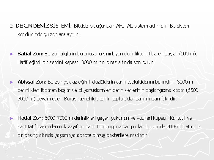 2 - DERİN DENİZ SİSTEMİ: Bitkisiz olduğundan AFİTAL sistem adını alır. Bu sistem kendi
