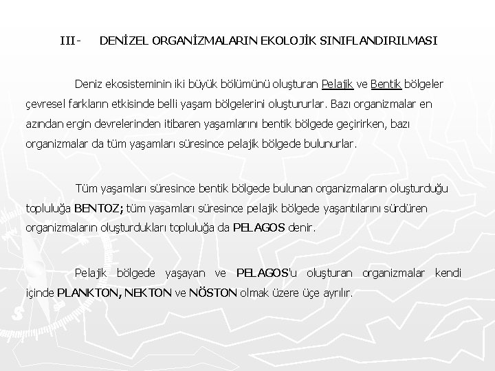 III- DENİZEL ORGANİZMALARIN EKOLOJİK SINIFLANDIRILMASI Deniz ekosisteminin iki büyük bölümünü oluşturan Pelajik ve Bentik