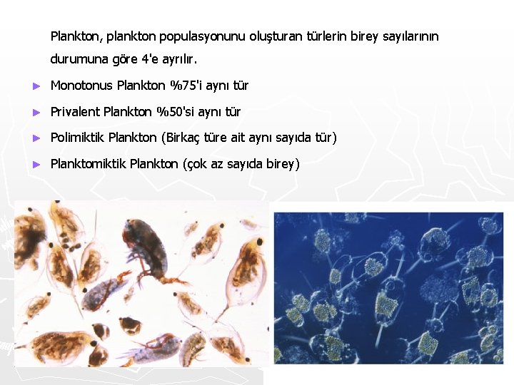 Plankton, plankton populasyonunu oluşturan türlerin birey sayılarının durumuna göre 4'e ayrılır. ► Monotonus Plankton