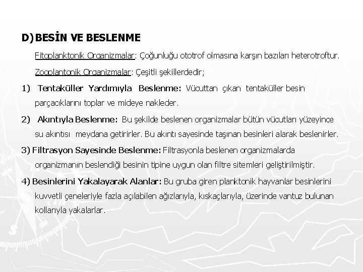 D) BESİN VE BESLENME Fitoplanktonik Organizmalar: Çoğunluğu ototrof olmasına karşın bazıları heterotroftur. Zooplantonik Organizmalar: