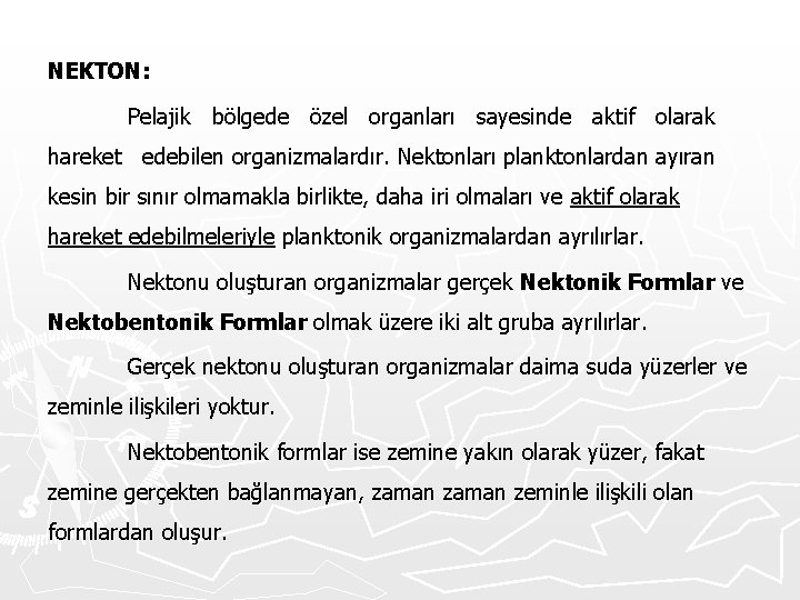 NEKTON: Pelajik bölgede özel organları sayesinde aktif olarak hareket edebilen organizmalardır. Nektonları planktonlardan ayıran