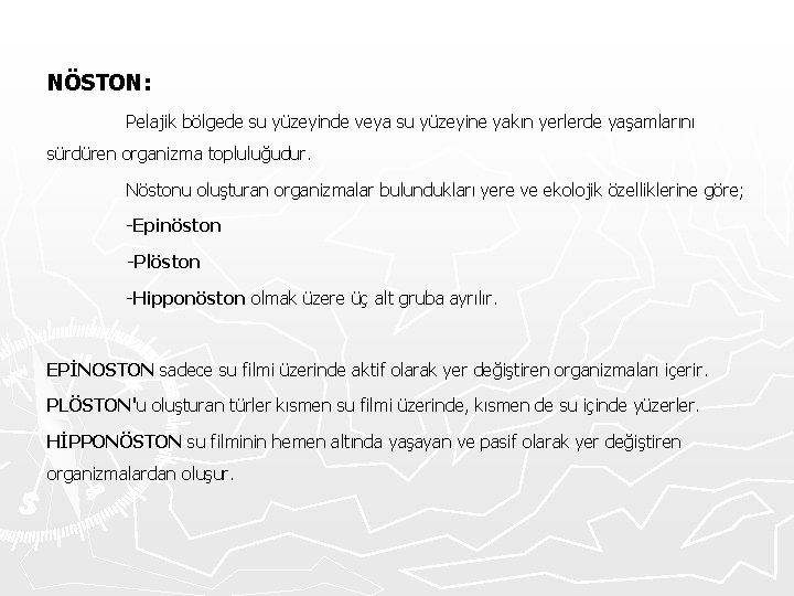 NÖSTON: Pelajik bölgede su yüzeyinde veya su yüzeyine yakın yerlerde yaşamlarını sürdüren organizma topluluğudur.