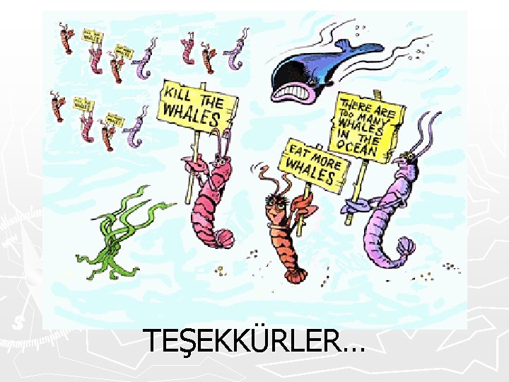TEŞEKKÜRLER… 