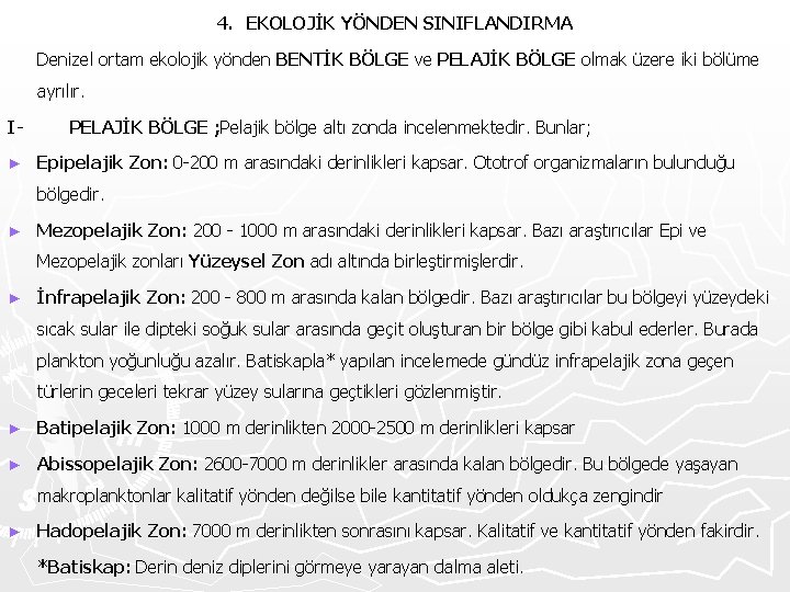 4. EKOLOJİK YÖNDEN SINIFLANDIRMA Denizel ortam ekolojik yönden BENTİK BÖLGE ve PELAJİK BÖLGE olmak