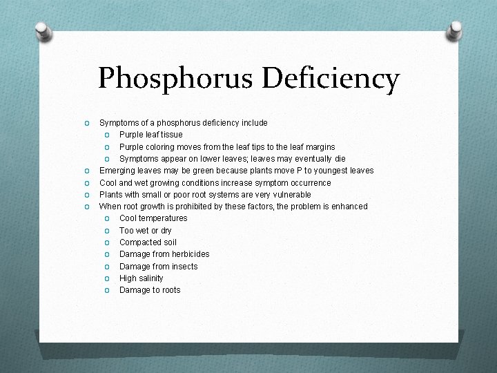 Phosphorus Deficiency O O O Symptoms of a phosphorus deficiency include O Purple leaf