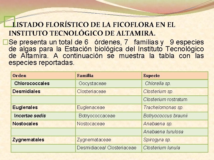 � LISTADO FLORÍSTICO DE LA FICOFLORA EN EL INSTITUTO TECNOLÓGICO DE ALTAMIRA. �Se presenta