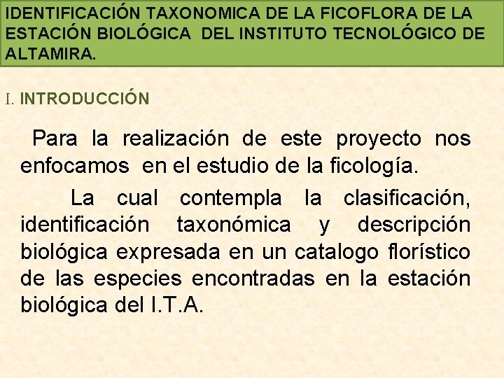 IDENTIFICACIÓN TAXONOMICA DE LA FICOFLORA DE LA ESTACIÓN BIOLÓGICA DEL INSTITUTO TECNOLÓGICO DE ALTAMIRA.