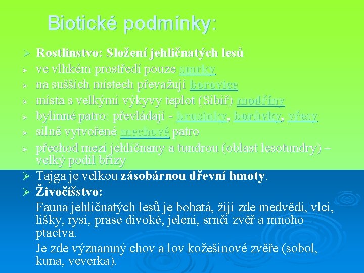 Biotické podmínky: Rostlinstvo: Složení jehličnatých lesů Ø ve vlhkém prostředí pouze smrky Ø na