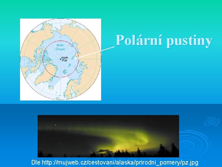 Polární pustiny Dle http: //mujweb. cz/cestovani/alaska/prirodni_pomery/pz. jpg 