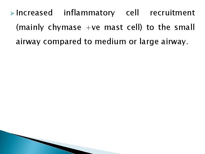 Ø Increased inflammatory cell recruitment (mainly chymase +ve mast cell) to the small airway