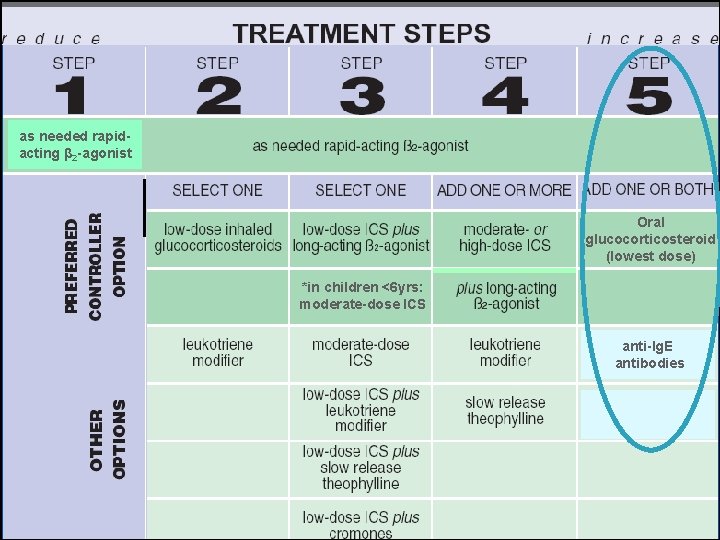 GINA 2006: Asthma treatment steps as needed rapidacting β 2 -agonist Oral glucocorticosteroid (lowest